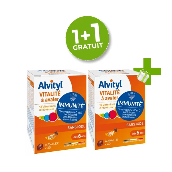 ALVITYL PACK VITALITE COMP B/40 + 1 GRATUIT